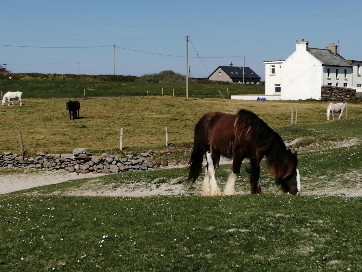 Home Comforts Castleisland Bagian luar foto