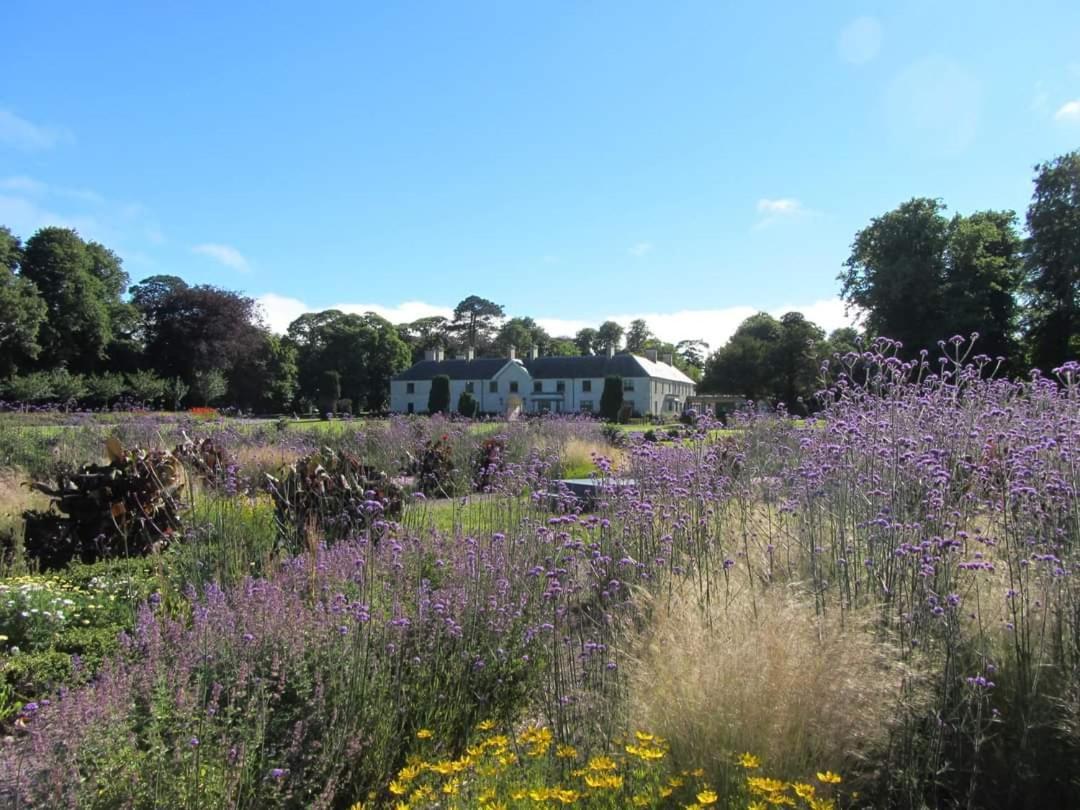 Home Comforts Castleisland Bagian luar foto